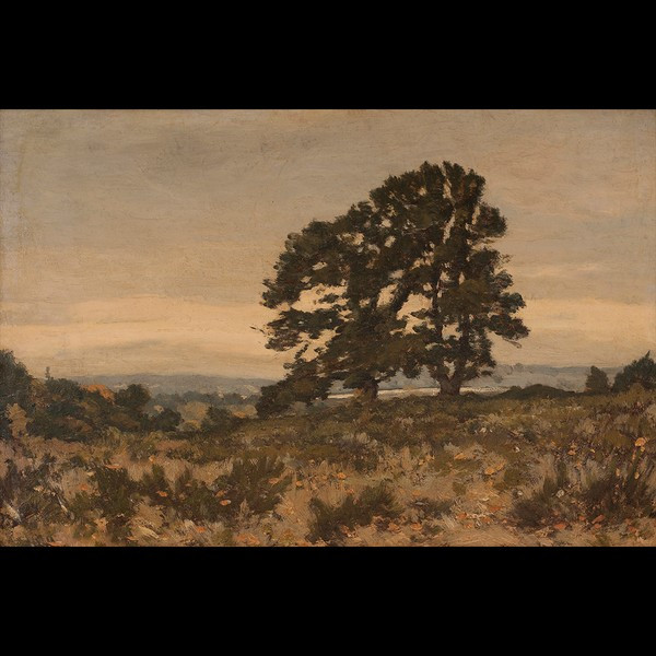 JUNIPER TREE | Juniper Print Shop