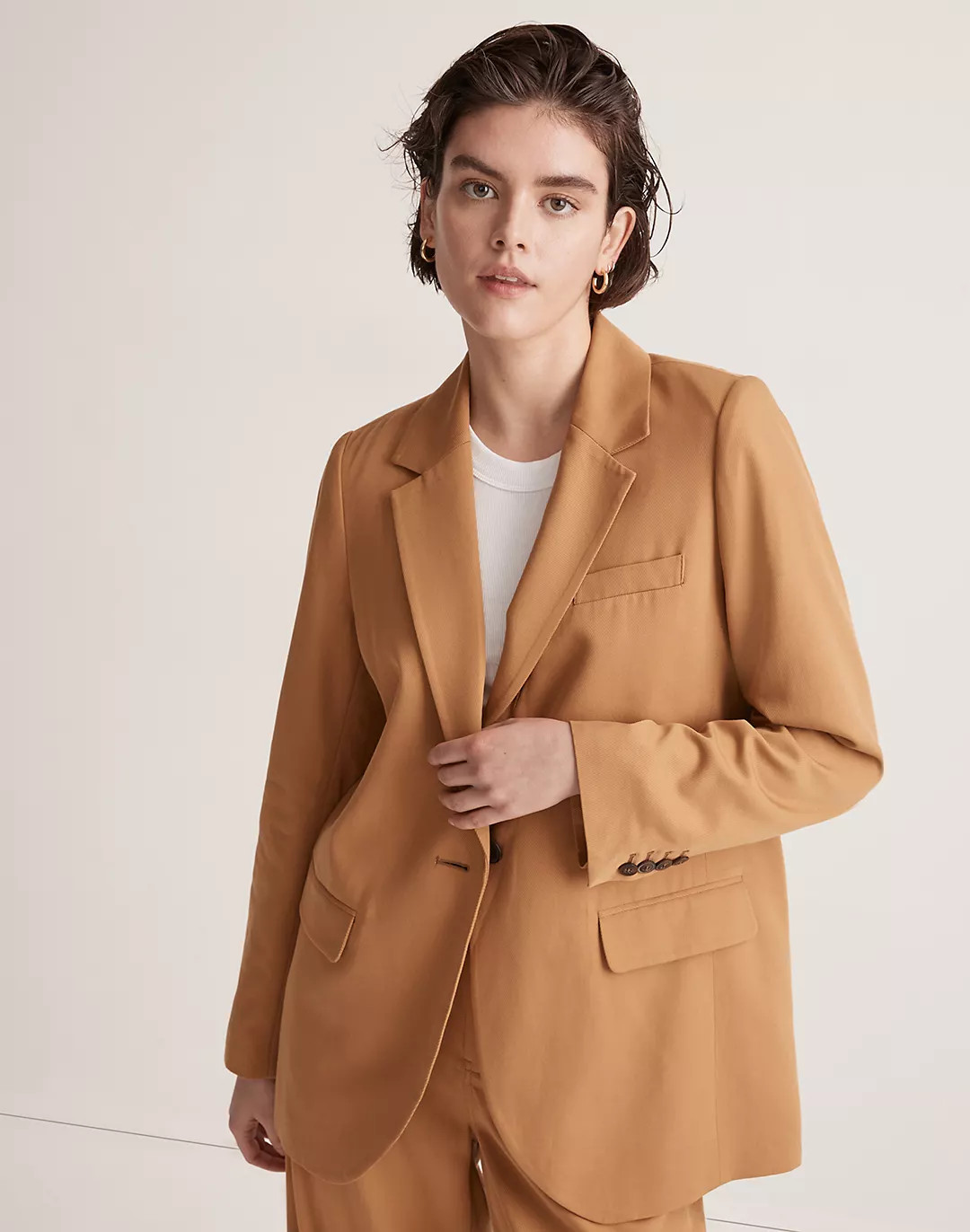 The Larsen Blazer in Drapeweave | Madewell