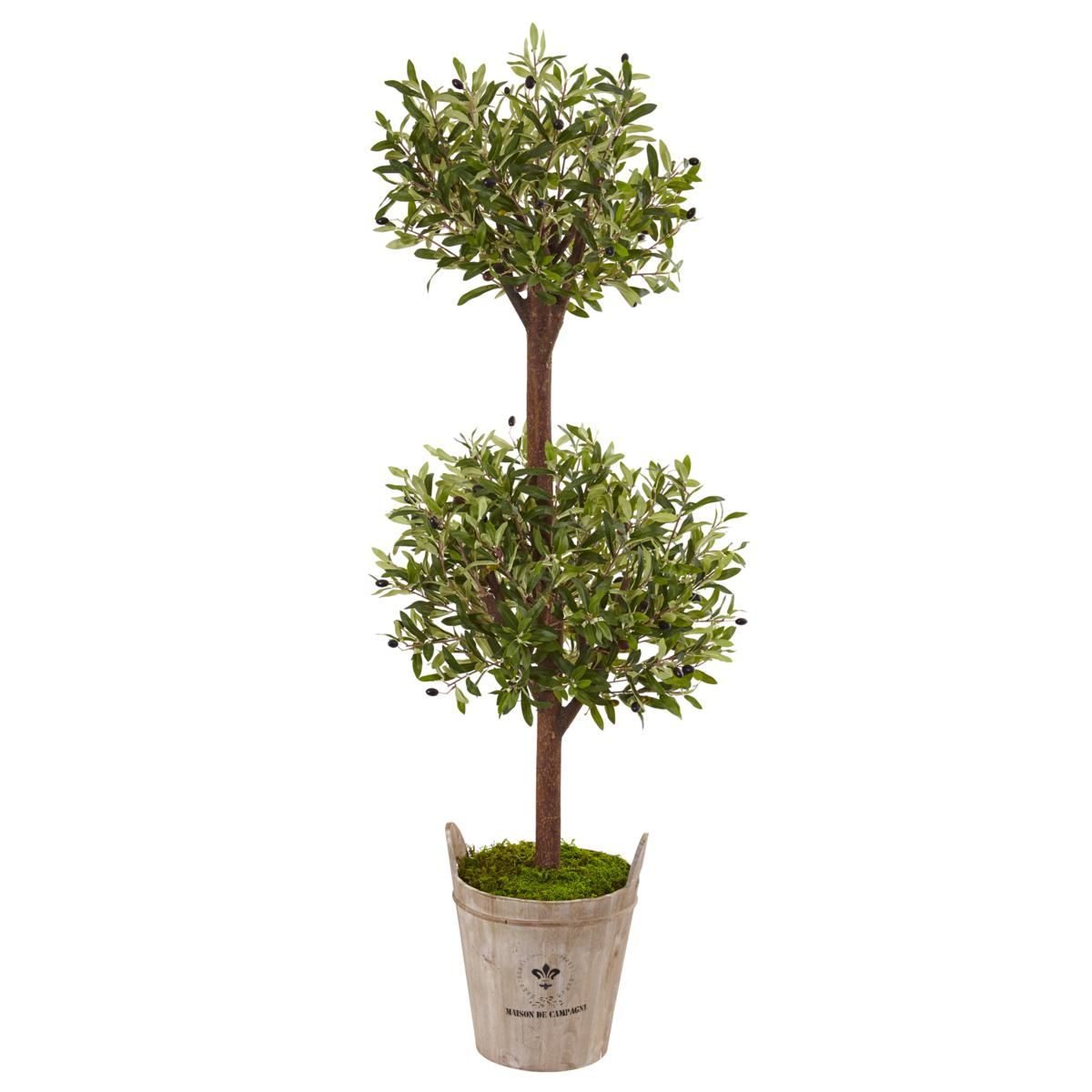Nearly Natural 5' Olive Tree in Farmhouse Planter | HSN