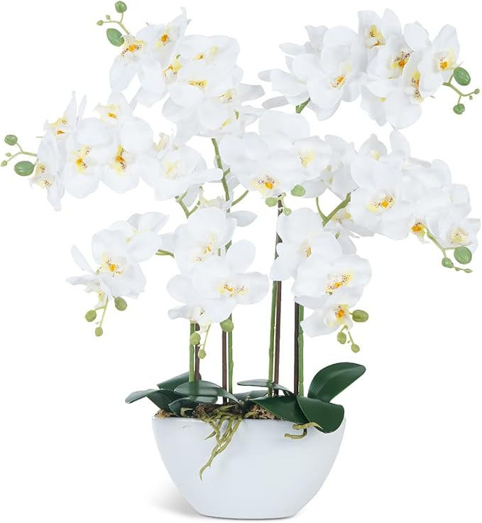 Ziwon Artificial Orchid Flowers & Plants Potted in Ceramic Pot, White Faux Phalaenopsis Orchids f... | Amazon (US)