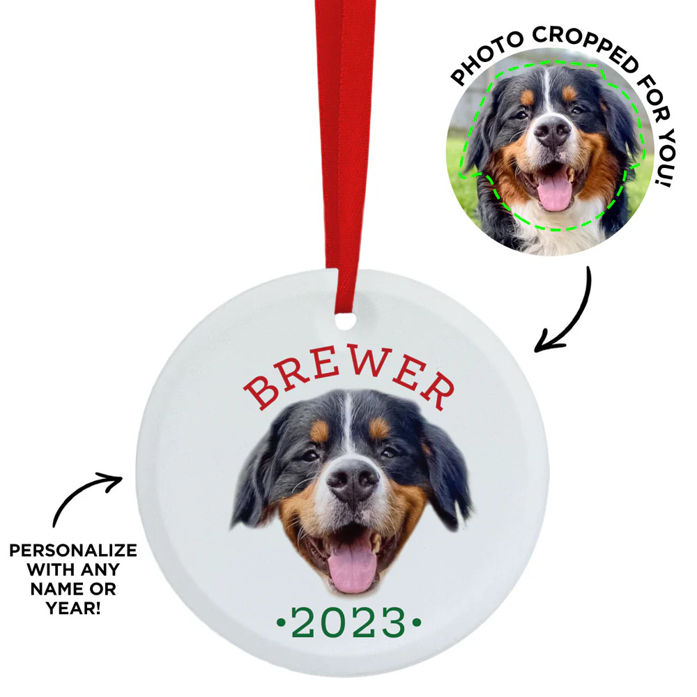 Personalized Pet Ornament | Type League Press