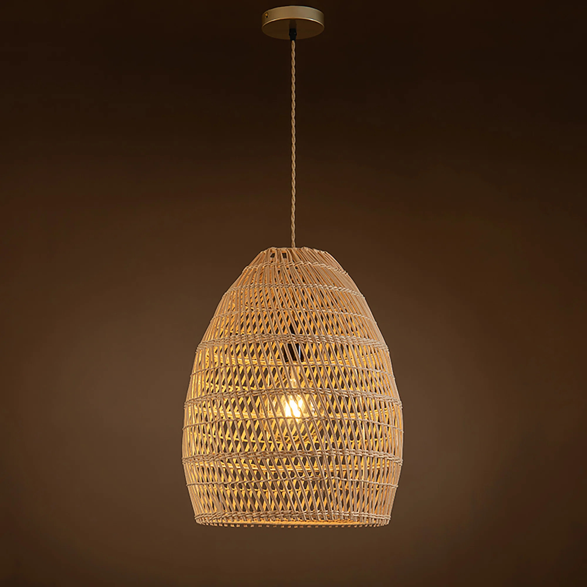 Alleman 1 - Light Single Dome Pendant | Wayfair North America