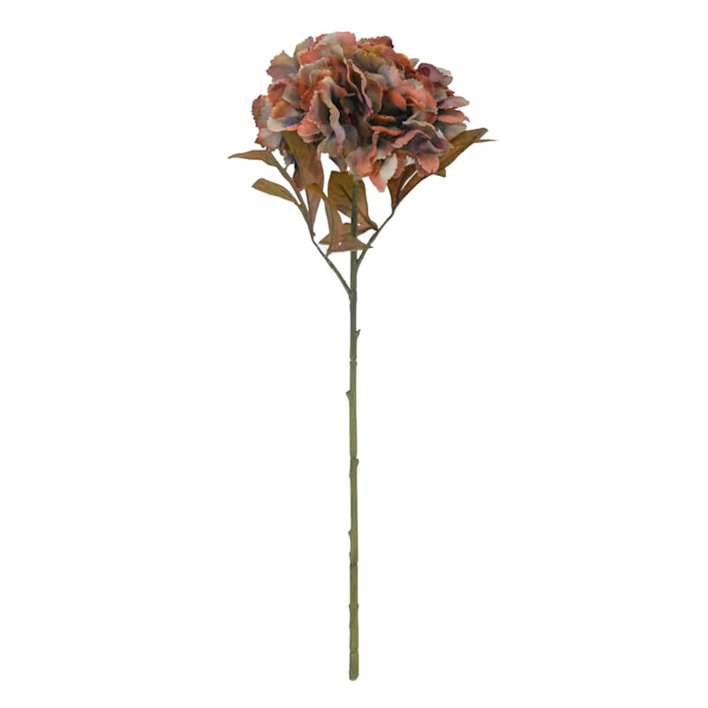 Brown Hydrangea Stem, 21" | At Home