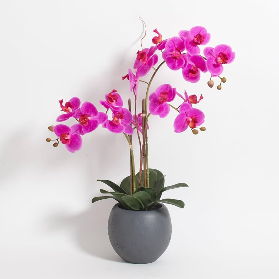 Faux Pink Orchid Plant, Premium Artificial Indoor Flower Display Stands 25-Inches with Beautiful ... | Amazon (US)