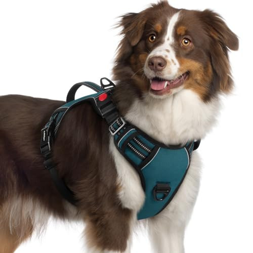 rabbitgoo Dog Harness Medium Sized, No Pull Pet Harness with Soft Padded Handle, Adjustable Reflective Vest with 3 Buckles, Easy Walking Harness with 2 Leash Clips, Green, XL | Amazon (US)