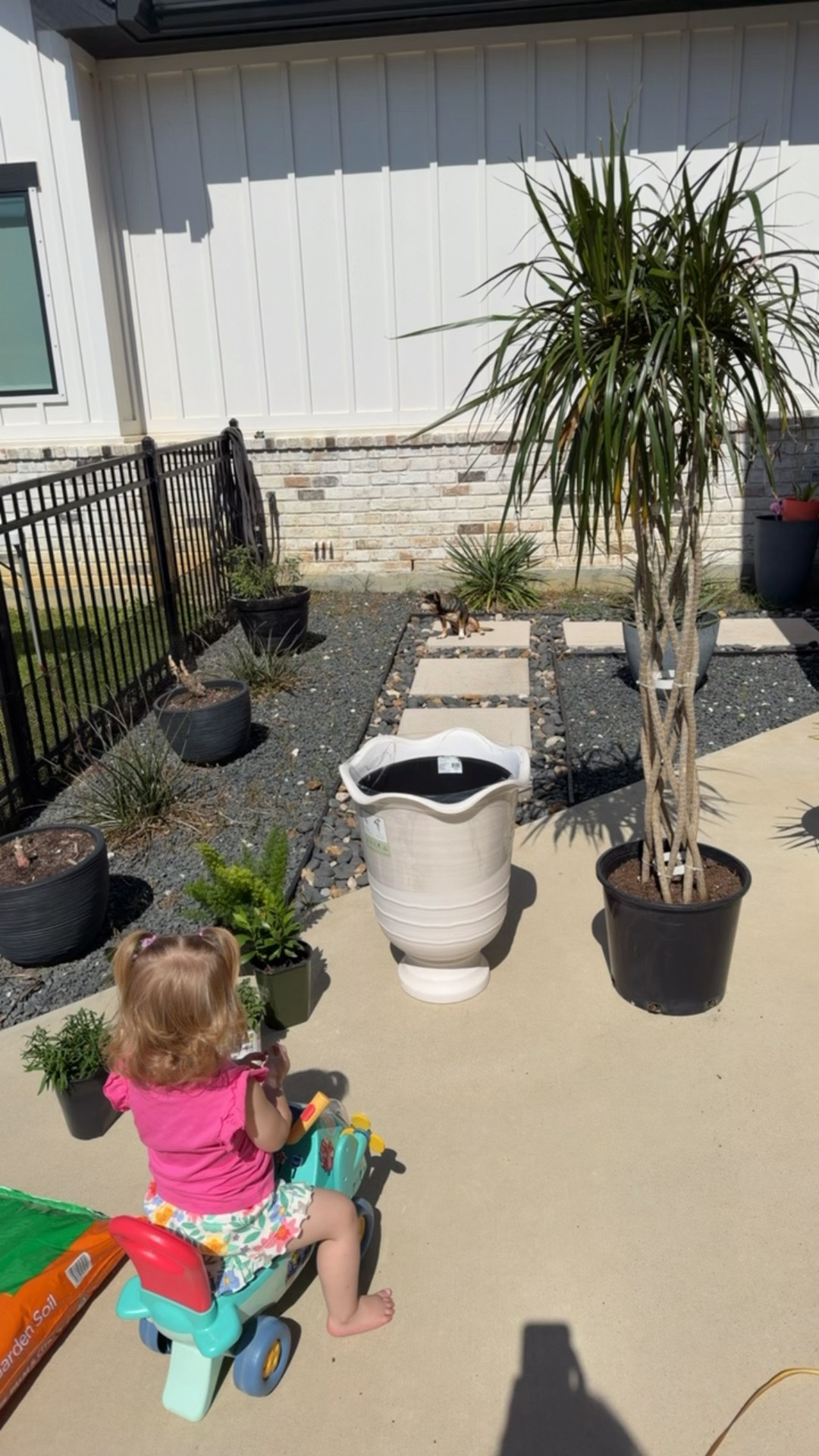 Got the Dracaena tree at my local Lowe’s on the clearance rack so I couldn’t find the exact one online. I linked a smaller version! 

#LTKHome #LTKdayinmylife