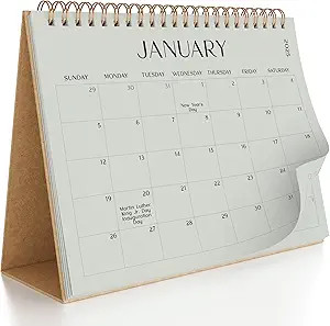 Aesthetic Desk Calendar 2025 - Runs from August 2024 until June 2026 - Beautiful Small 2024-2025 ... | Amazon (US)