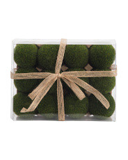 Boxed Set Of 12 Mossy Eggs | TJ Maxx