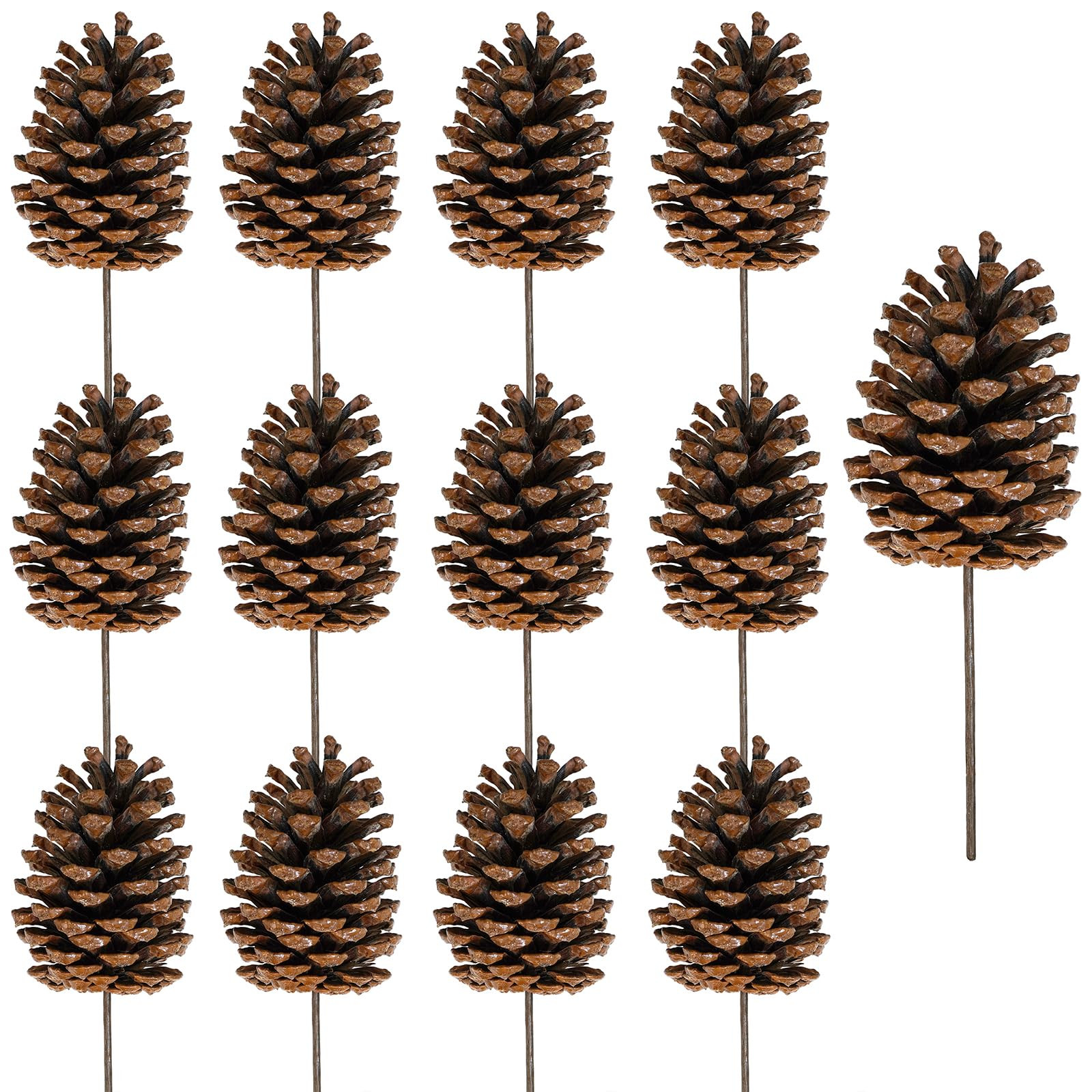 Winlyn 12 Pcs Natural Pine Cone Picks Christmas Pinecone Sprays Medium Pinecones Picks with Wired... | Amazon (US)