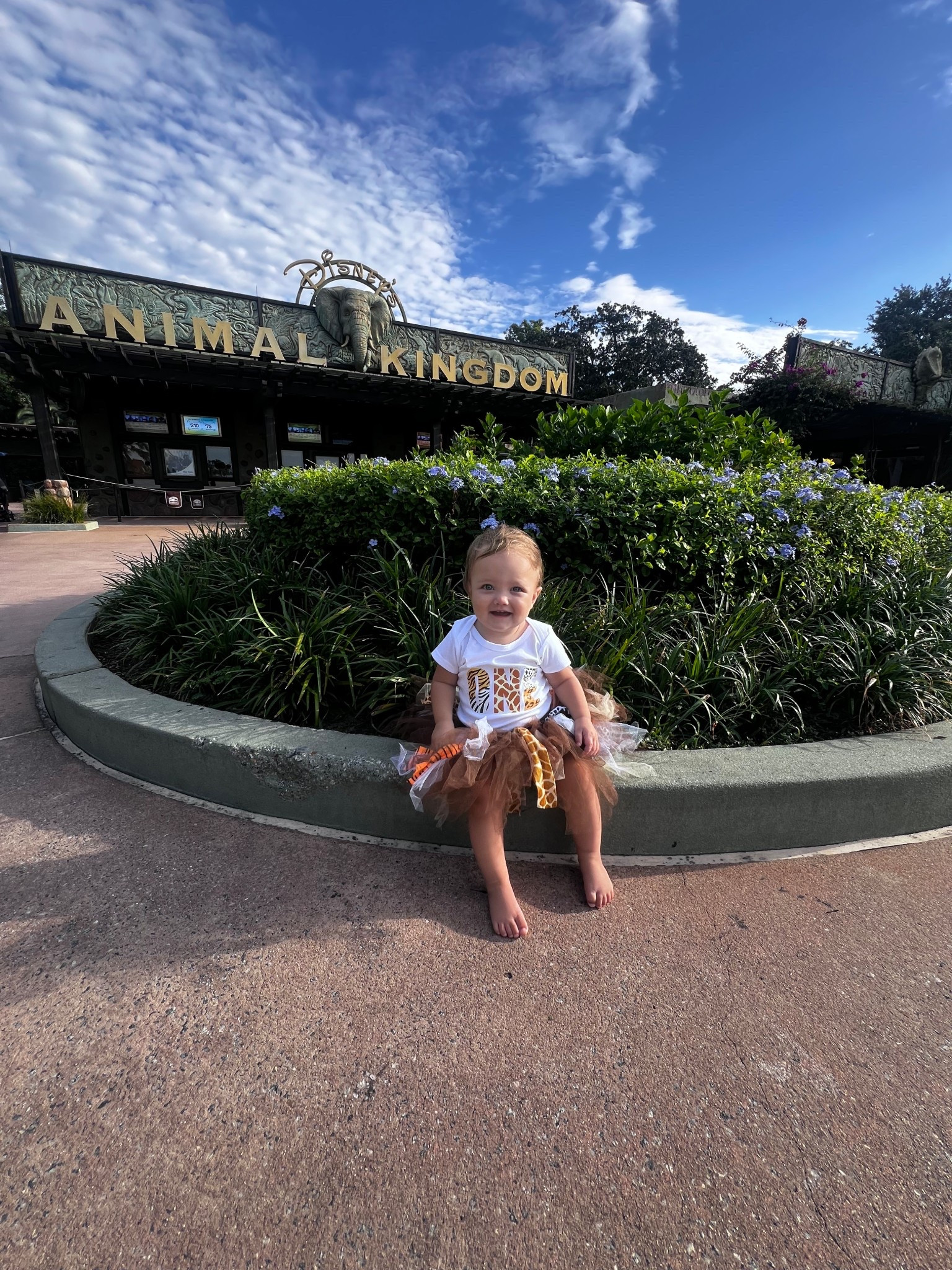One year birthday outfit for Disney world animal kingdom 

#LTKKids #LTKFamily #LTKBaby