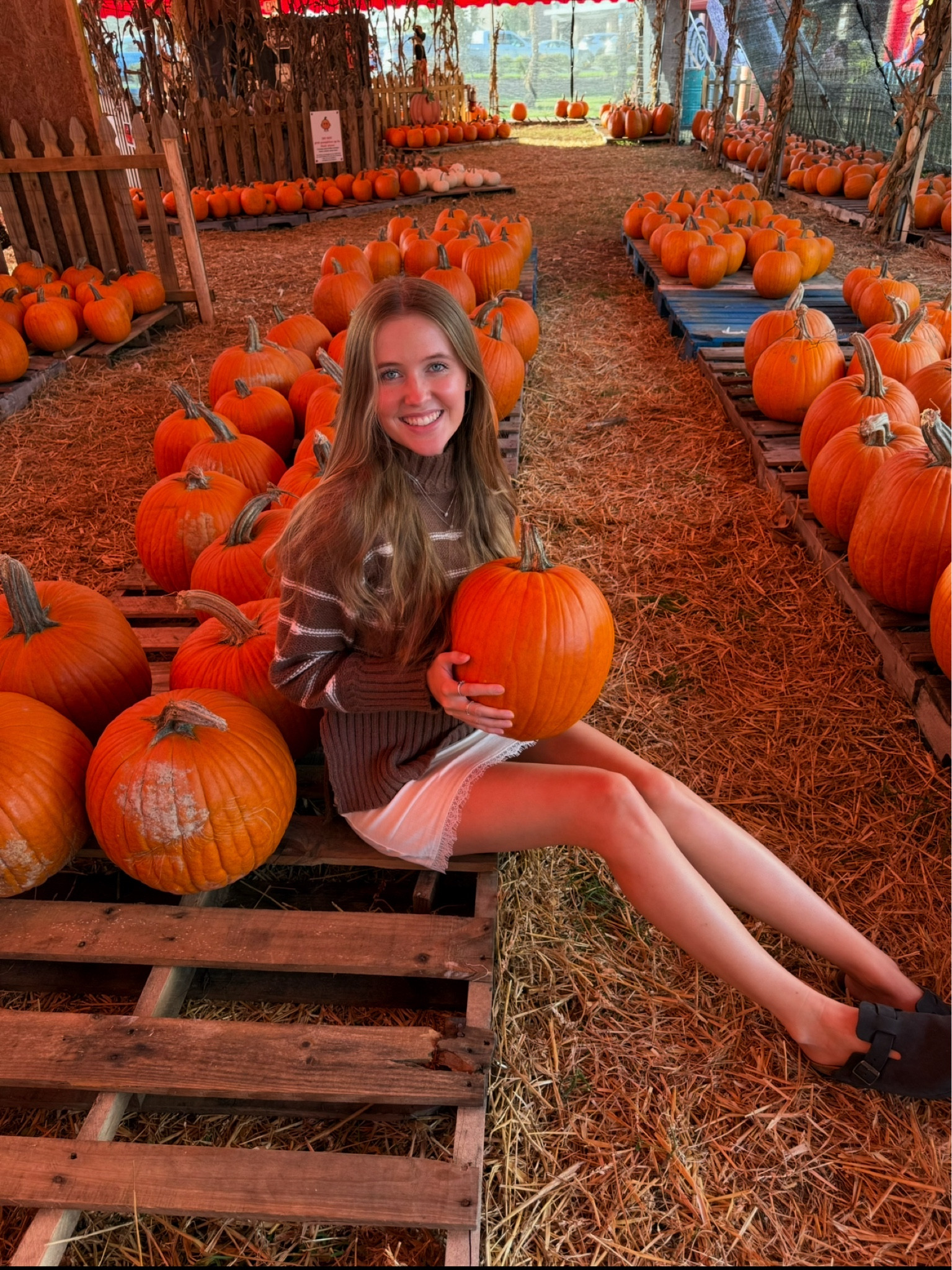 Pumpkin season!🎃🍂

#LTKBeauty #LTKItBag #LTKHalloween