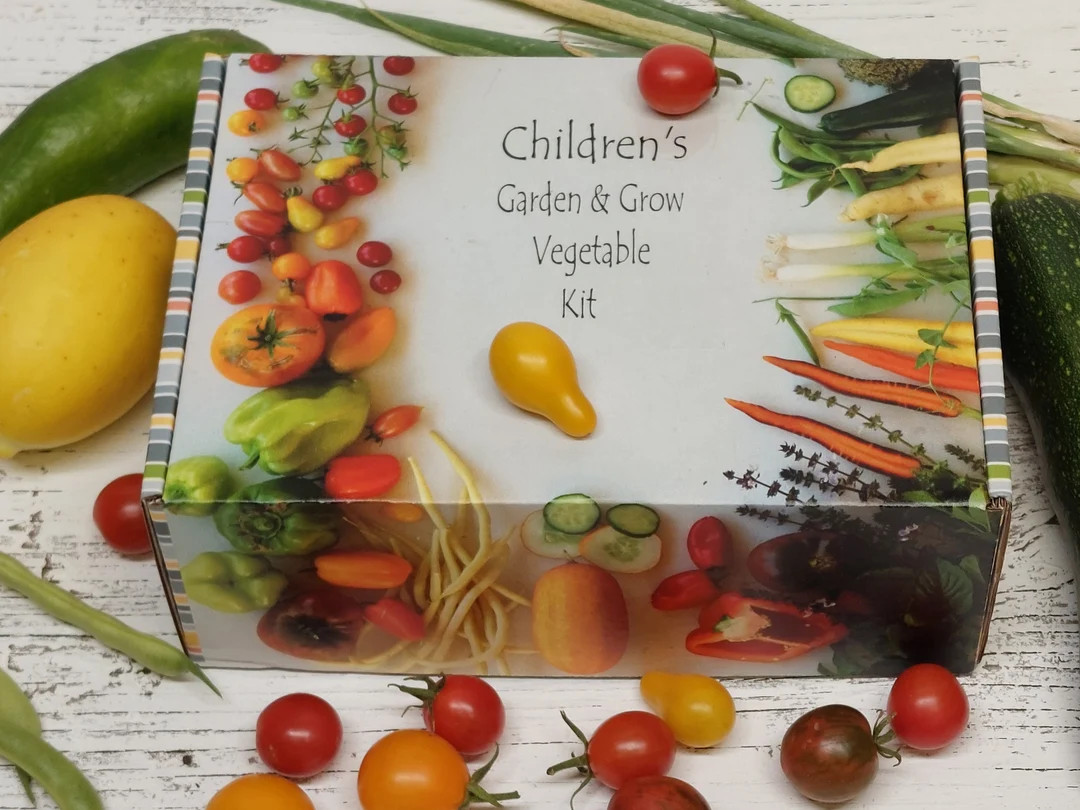 SALE Kids Garden Kit With Vegetable Seeds, Kid Birthday Gift, DIY Garden Kit, Kids Seed Kit for 1... | Etsy (US)