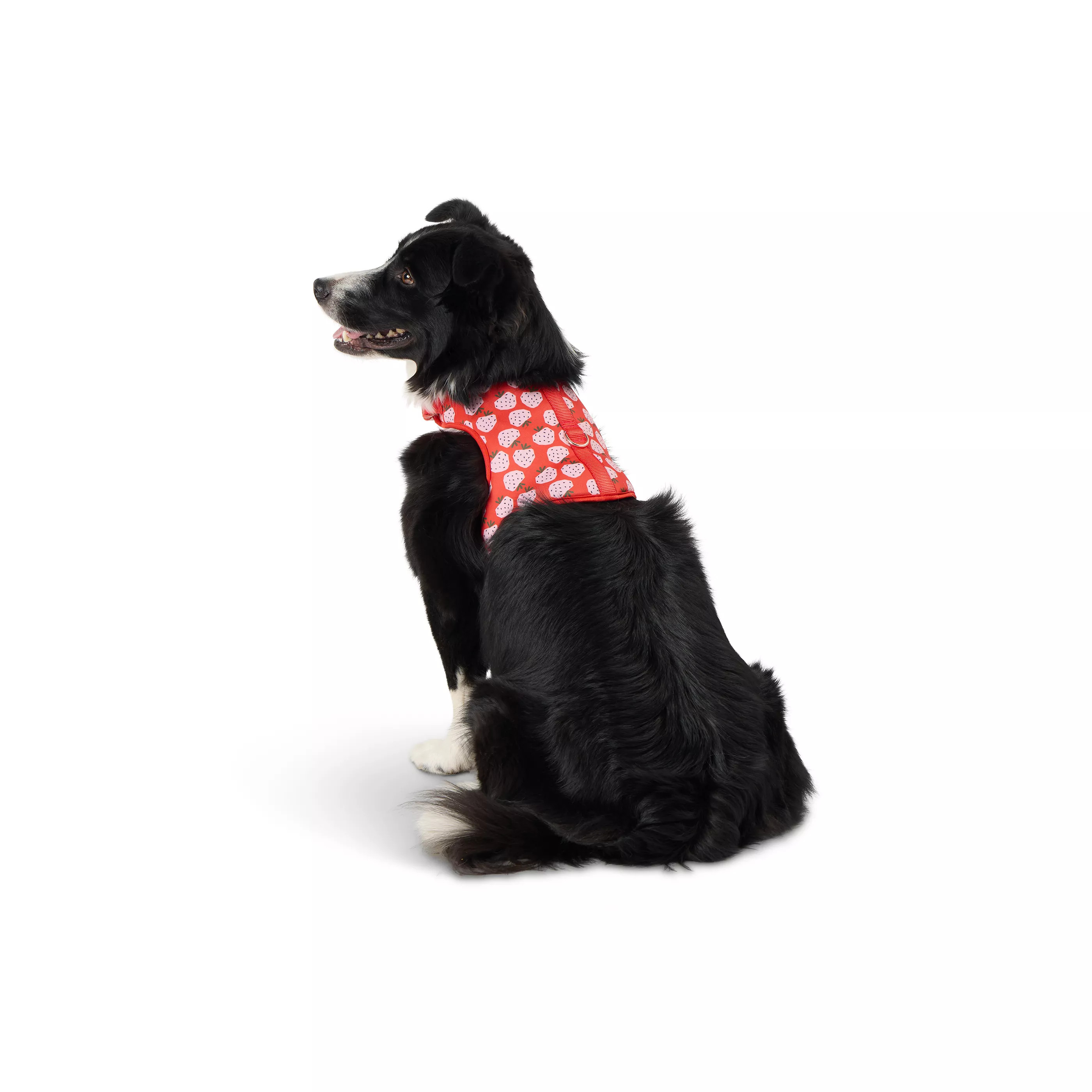 Top Paw Strawberry Fashion Comfort Vest Harness | PetSmart
