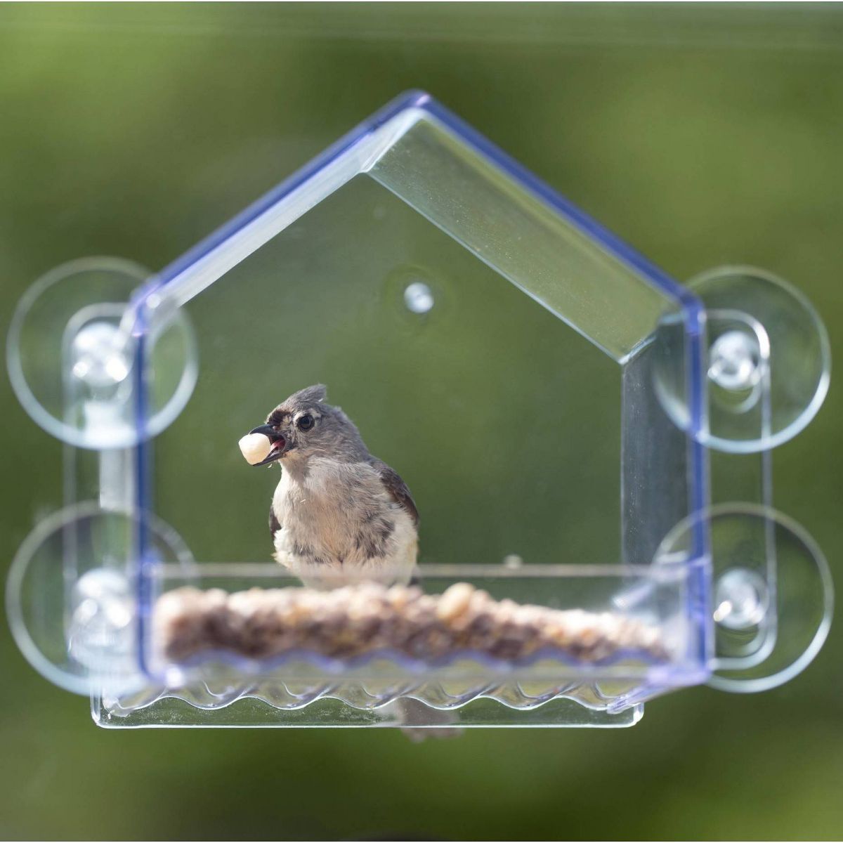Nature's Way Bird Products 2 Cup Clear View Plastic Window Bird Feeder 6.75" | Target