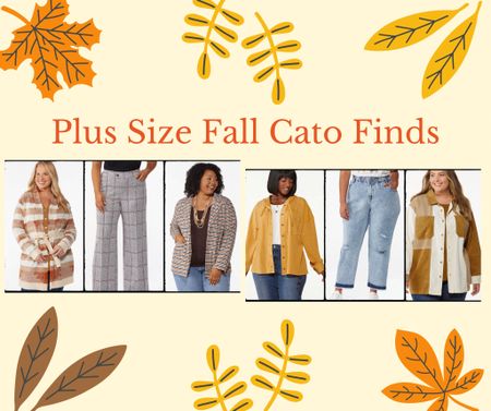 I’m shook at the cuteness Cato has for fall! 