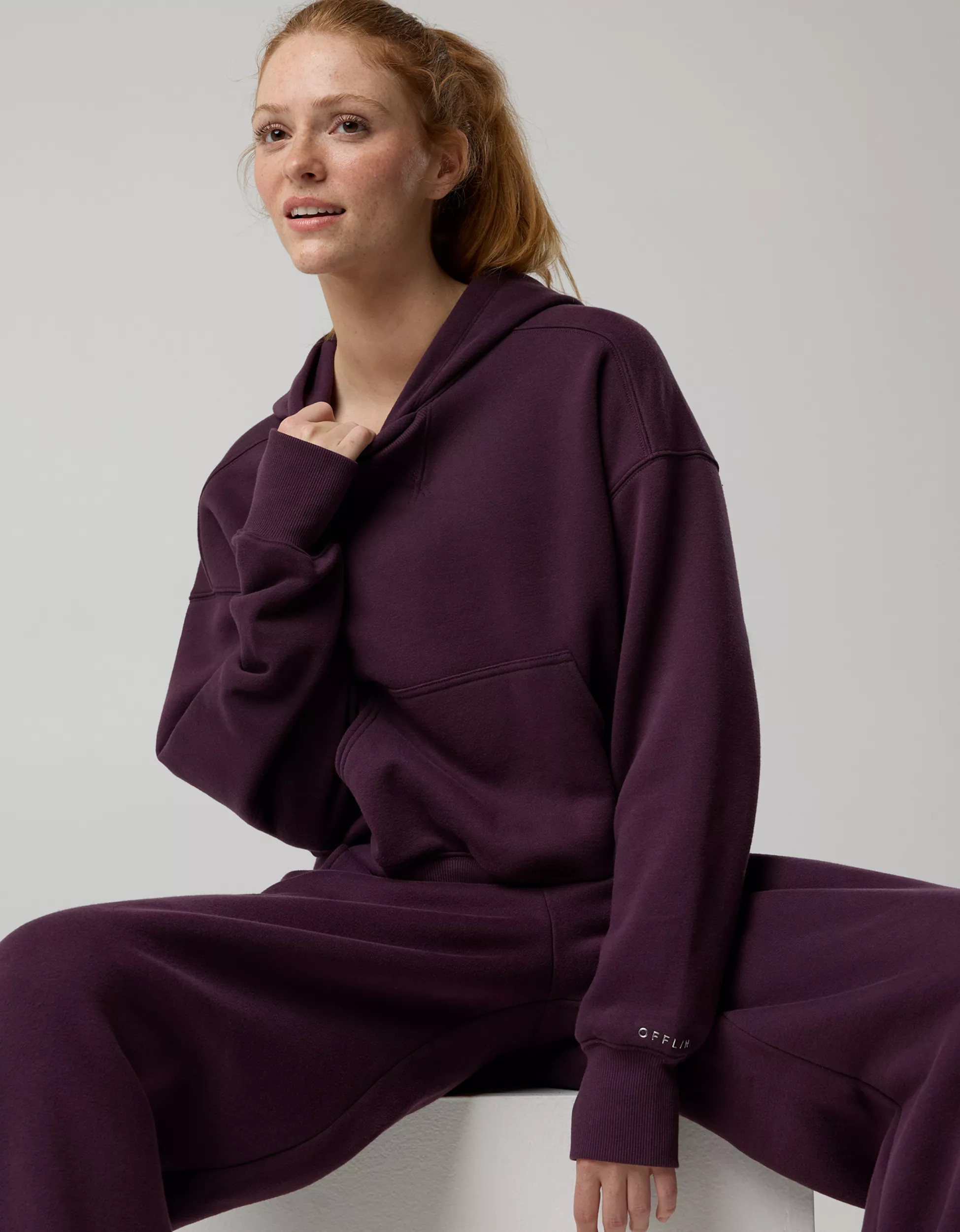 OFFLINE By Aerie Cloud Fleece Classic Length Hoodie | Aerie