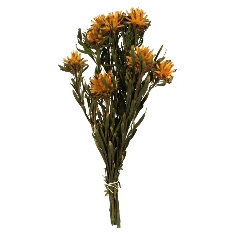 Vickerman Autumn Plumosum Flower 20" Long Stem, Real Preserved Dried Floral Decor for Wedding, Ho... | Walmart (US)