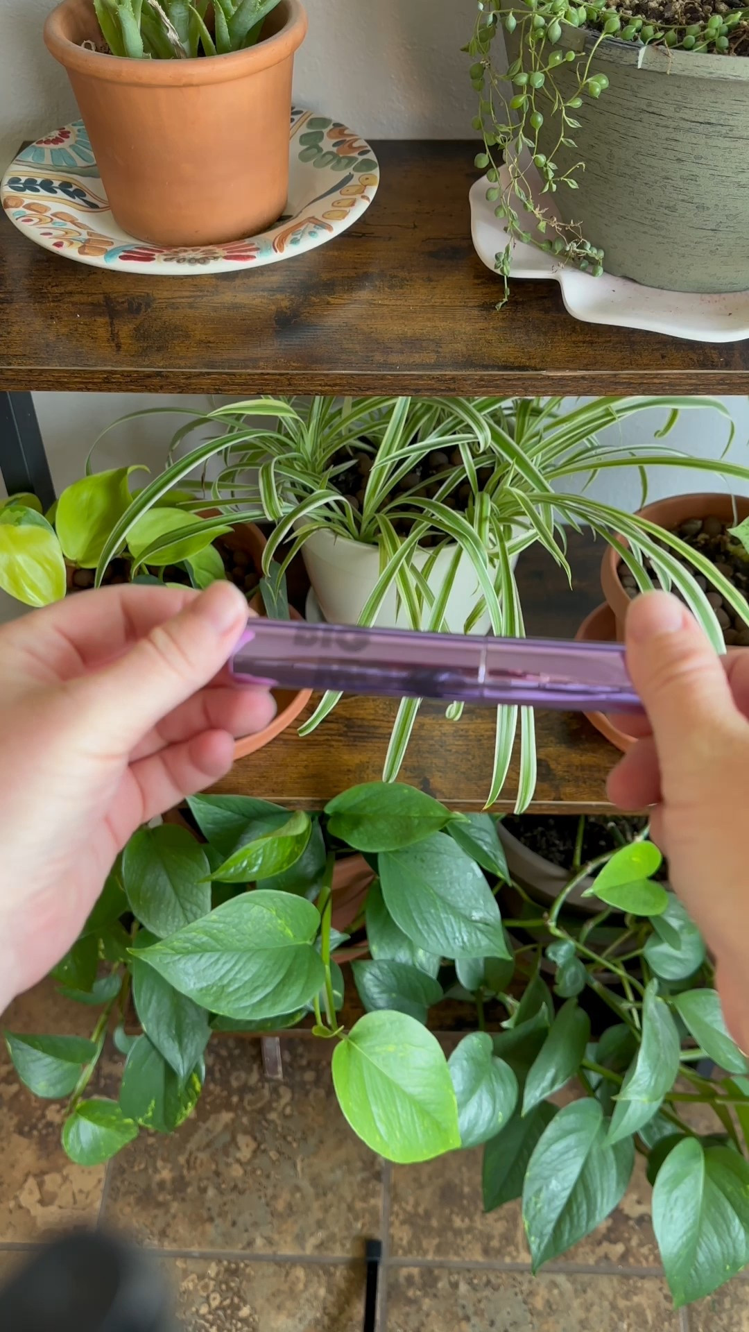 e.l.f. Cosmetics 40% off $35+ sitewide with exclusive code: LTKSPRING 

#LTKSpringSale #LTKWatchNow #LTKBeauty

#LTKStyleTip #LTKTravel #LTKParties