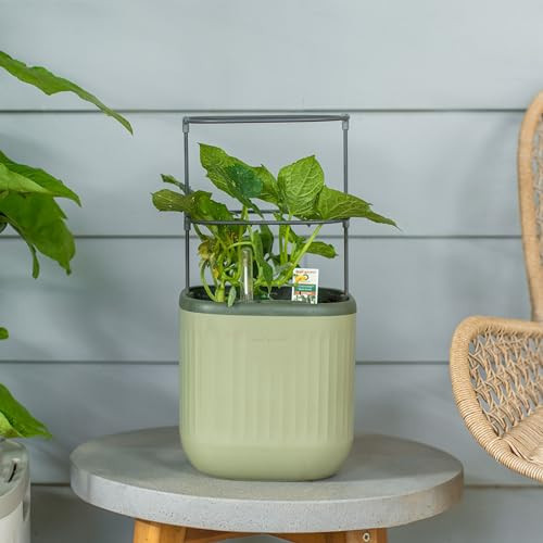 Vego garden Mini Planter Indoor Pots with Trellis Self-Watering Herb Countertop Planter for Climbing Vegetables Flowers Mint Plants Cage- Sage Green | Amazon (US)