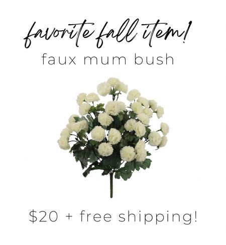 Best seller right now! Faux mum bush with 33 blooms! Great reviews and they last forever! 

Faux mums, front porch decor, fall front porch, front porch styling, front porch design, fall mums, fall decor items

#LTKSeasonal #LTKHoliday #LTKhome