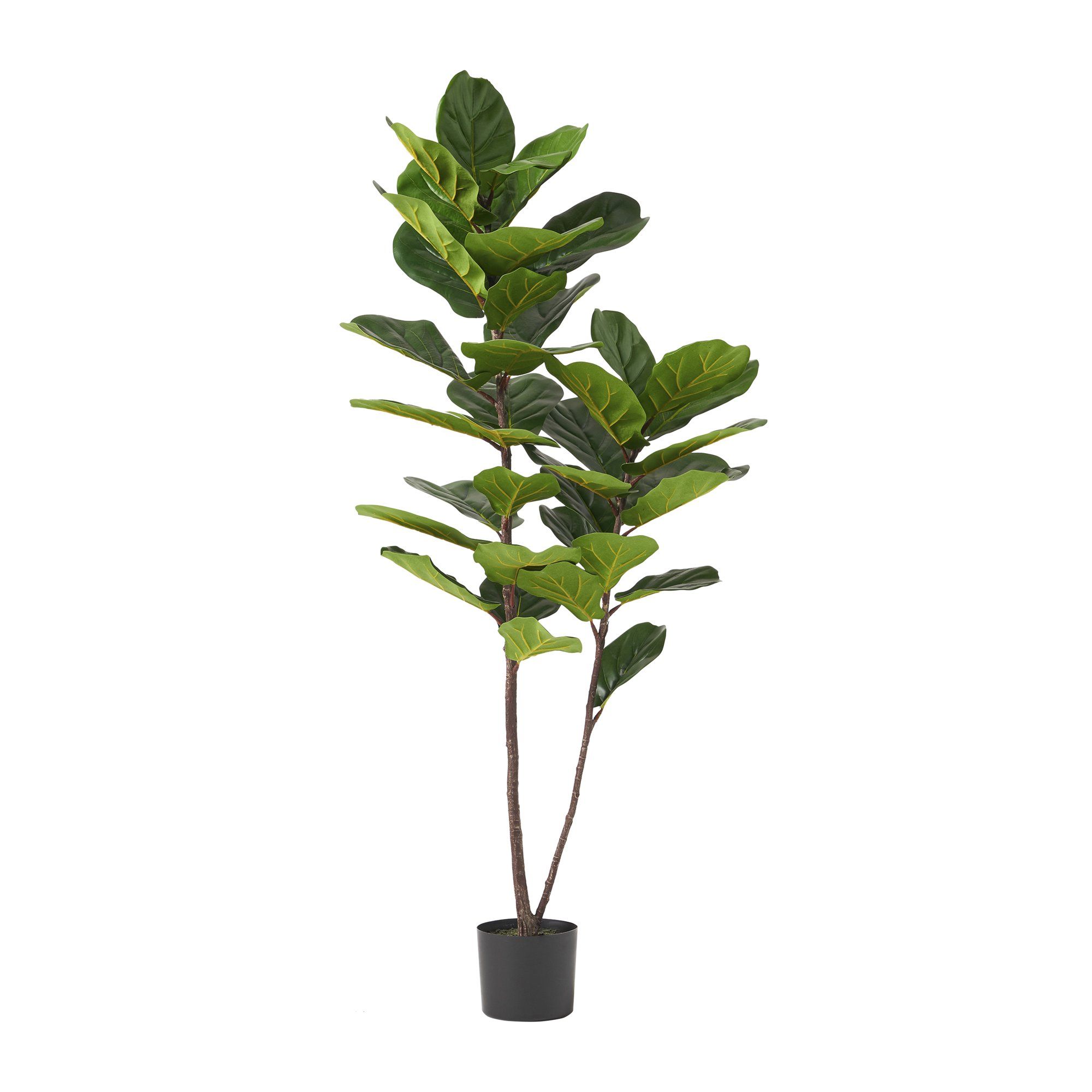 Socorro 5' x 2.5' Artificial Tabletop Fiddle-Leaf Fig Tree, Green | Walmart (US)