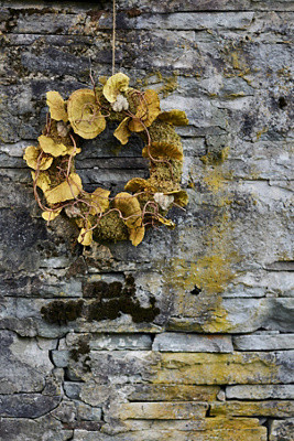 Wreath Shelf Mushroom | Terrain