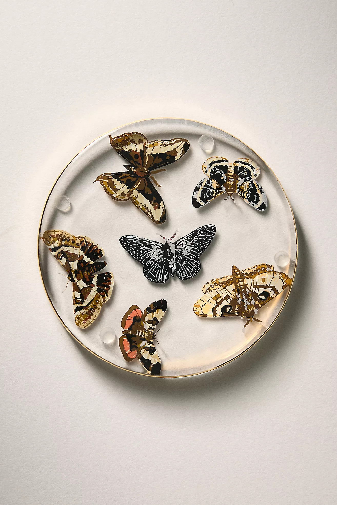 Catherine Martin Midnight Creatures Decaled Glass Coaster | Anthropologie (US)