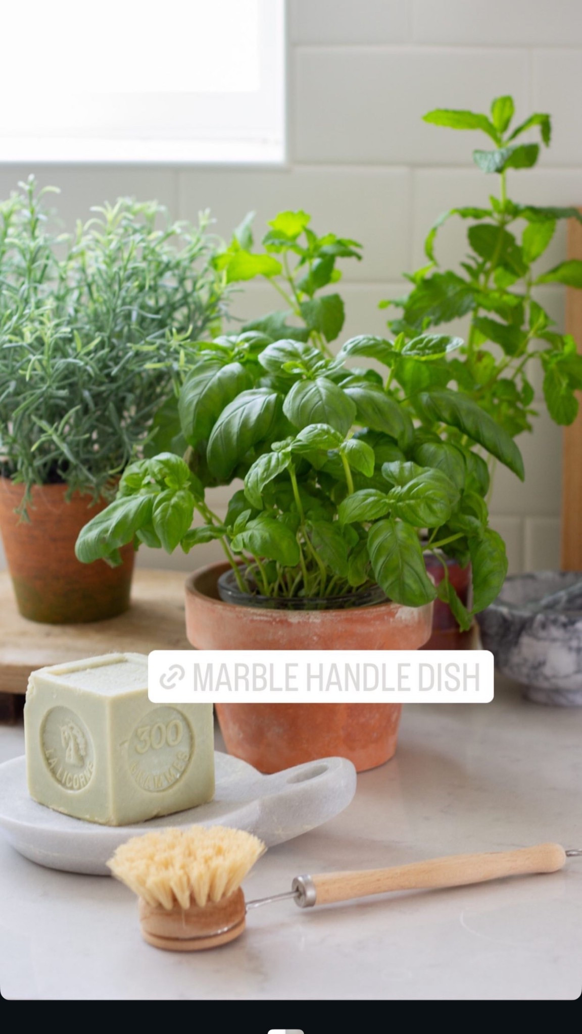 Amazon scores that make my kitchen feel refreshed for the new year/early spring. 

#LTKHome #LTKSeasonal #LTKselfcare