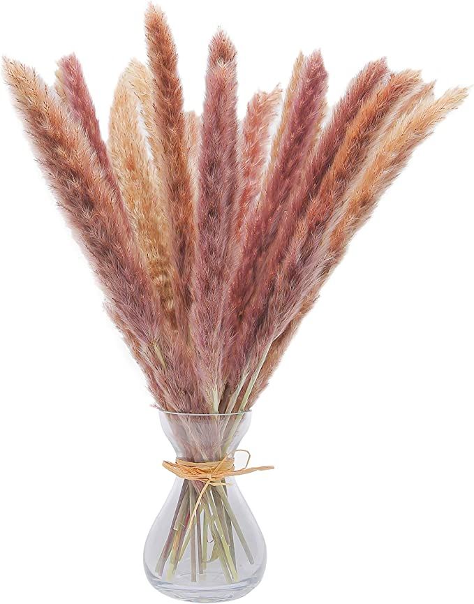 30 Pcs 45 cm Living Legend All Natural Dried Pampas Grass Vase Decor - dried flowers for vase - P... | Amazon (US)