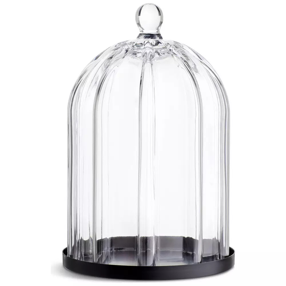 Buy Habitat Ribbed Glass Cloche - Clear | Ornaments | Argos | argos.co.uk