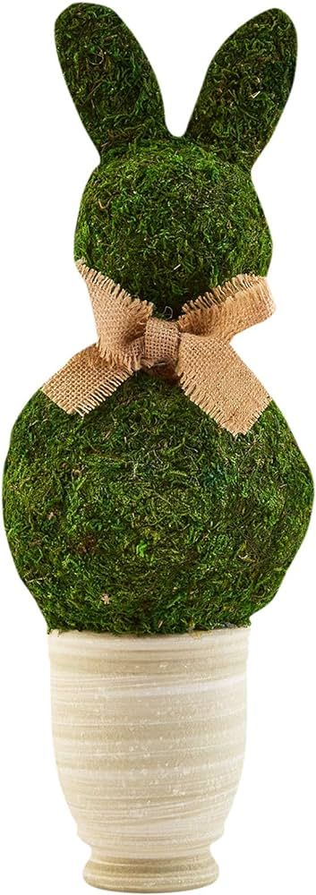 Bunny Topiary, Green Preserved Moss, 13 1/2" x 5" Dia | Amazon (US)