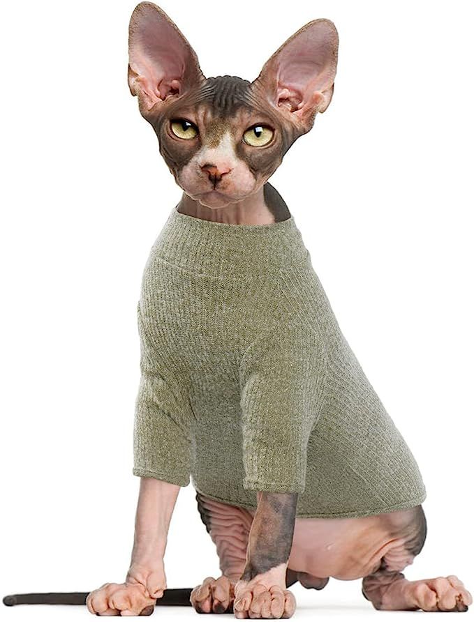 Bonaweite Sphynx Cat Clothes, Cat Sweaters for Cats Only, Turtleneck Sphynx Cat Sweaters, Cat Clo... | Amazon (US)