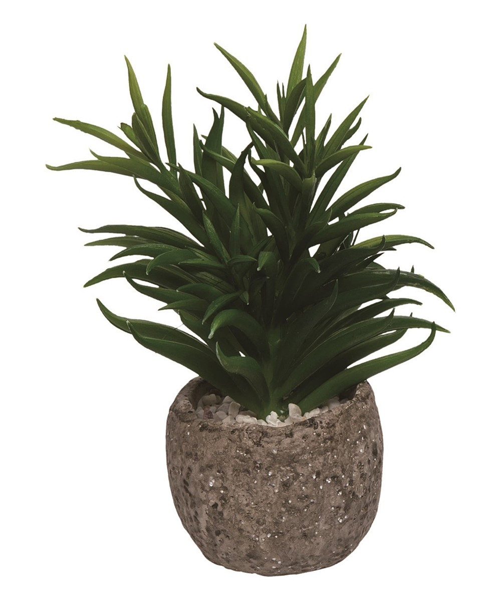 Transpac Faux Plants - Potted Succulent Arrangement | Zulily
