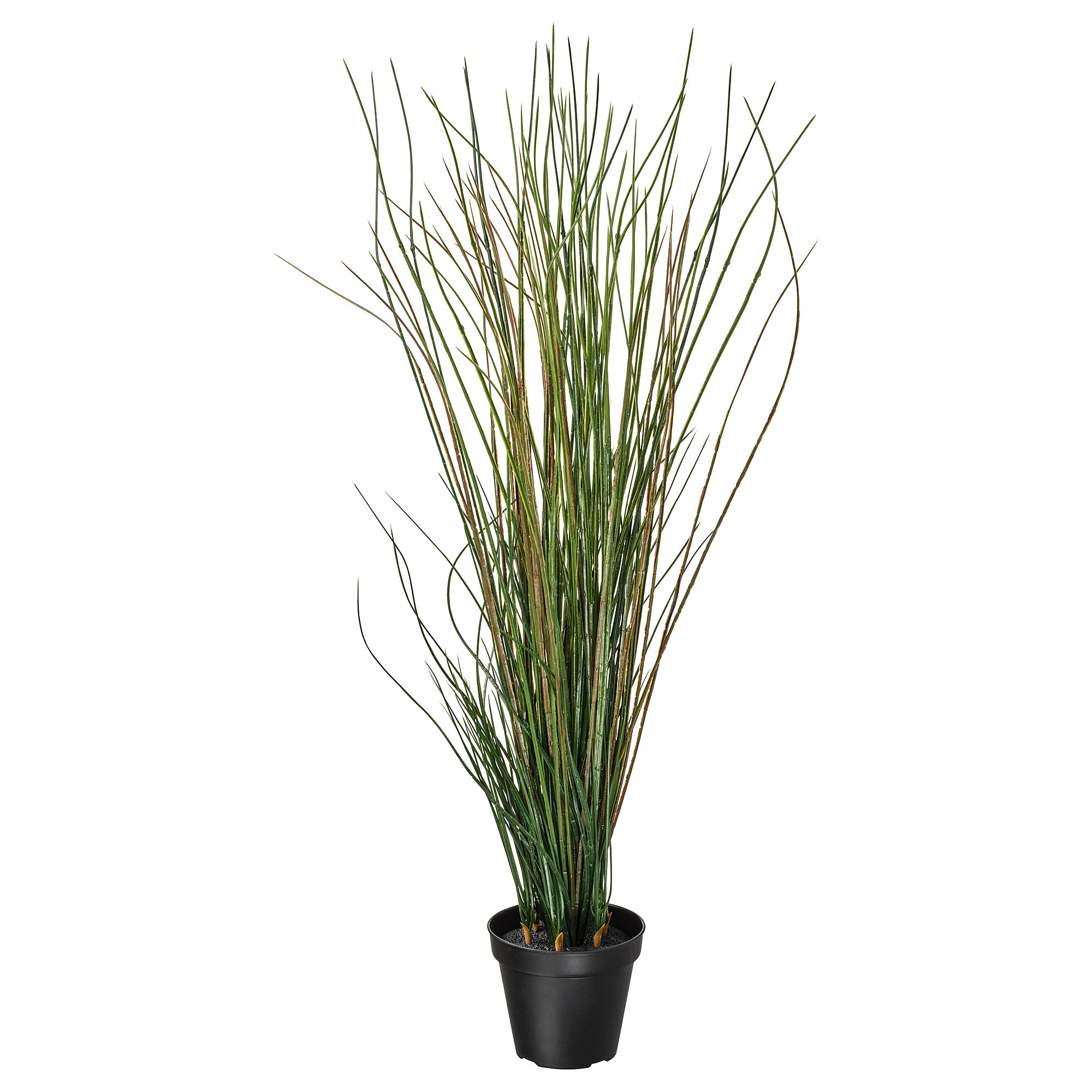 FEJKA Topfpflanze, künstlich, Gras, 17 cm - IKEA Deutschland | IKEA (DE)
