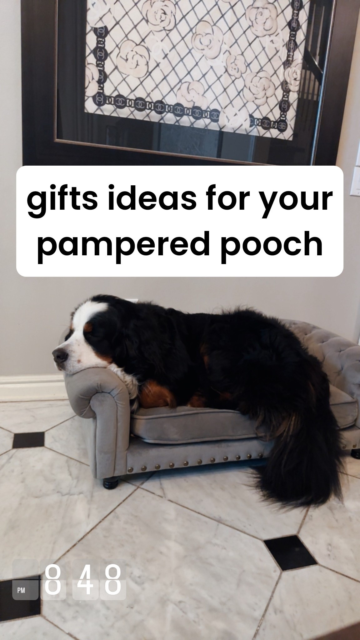 gifts for that furry friend in your lifee

#LTKGiftGuide #LTKHome