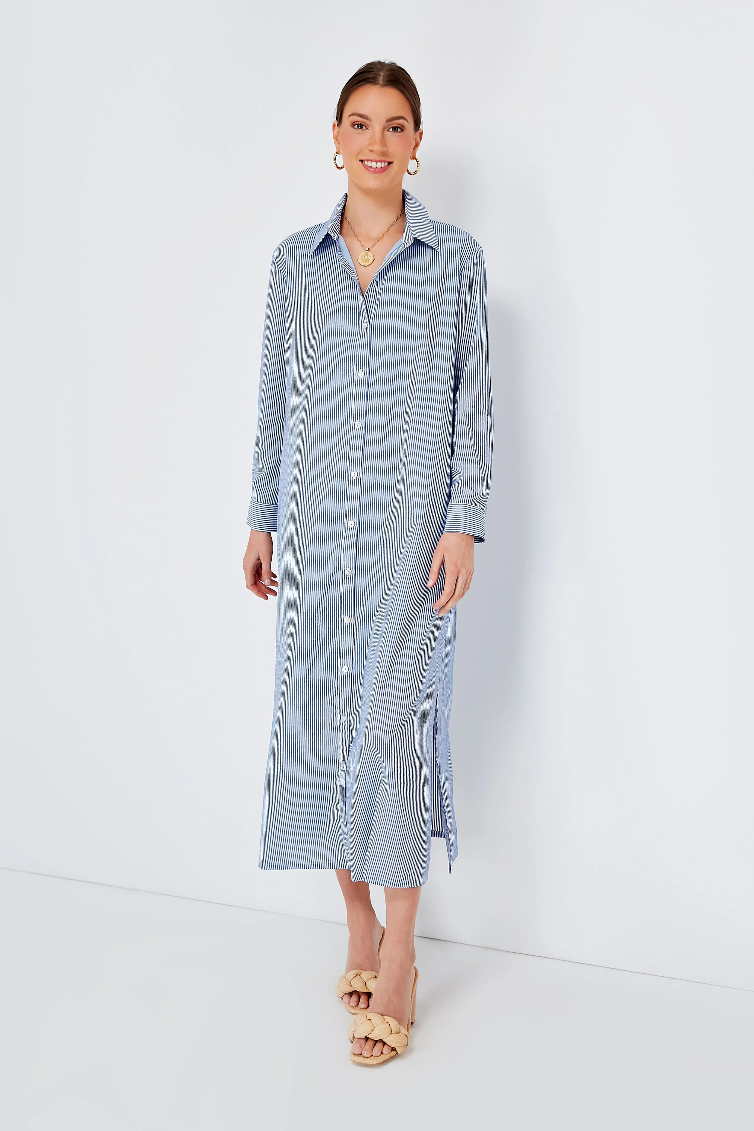 Blue Stripe Griffin Dress | Tuckernuck (US)