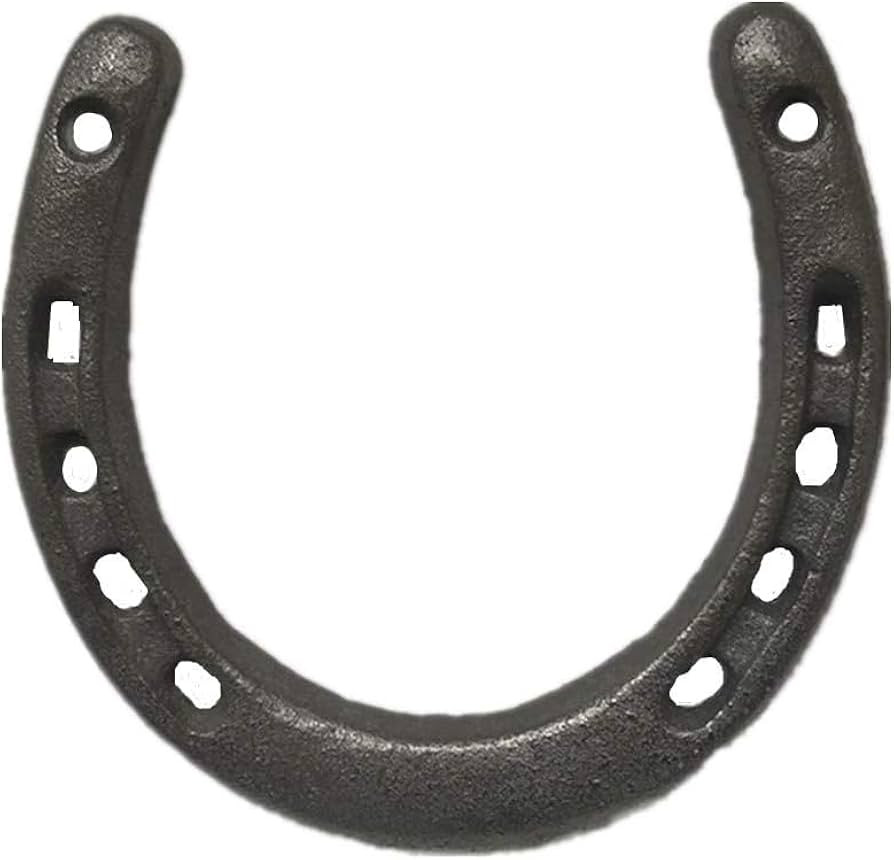 Cast Iron Horseshoe Wall Decor, Medium Horseshoe Sturdy Cast Iron 5 Holes On Each Side for Indoor... | Amazon (US)