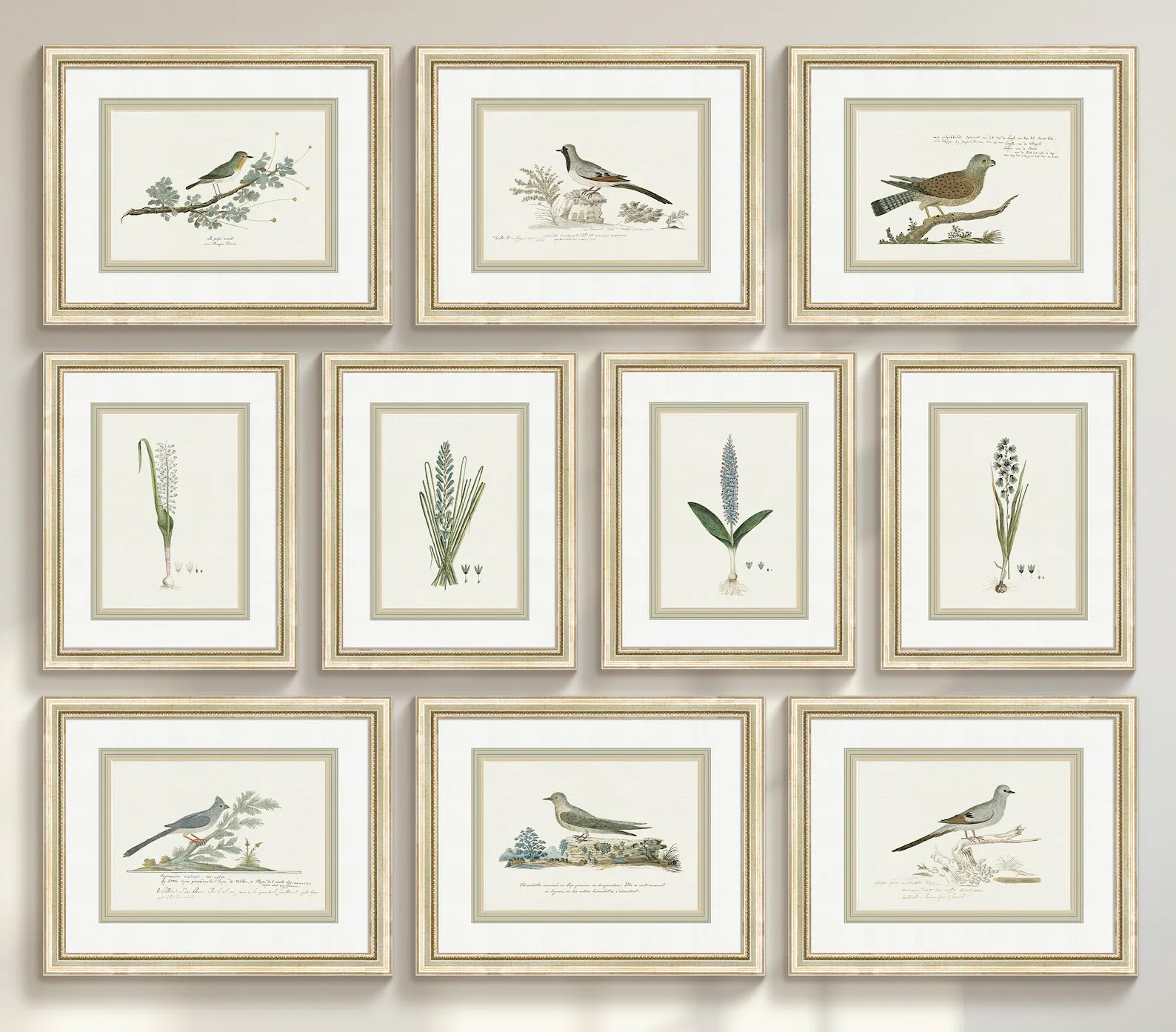 Botanicals & Birds: Set of 10 Framed Antique Botanical and Bird Wall Art Prints, Archival Art Pri... | Etsy (US)