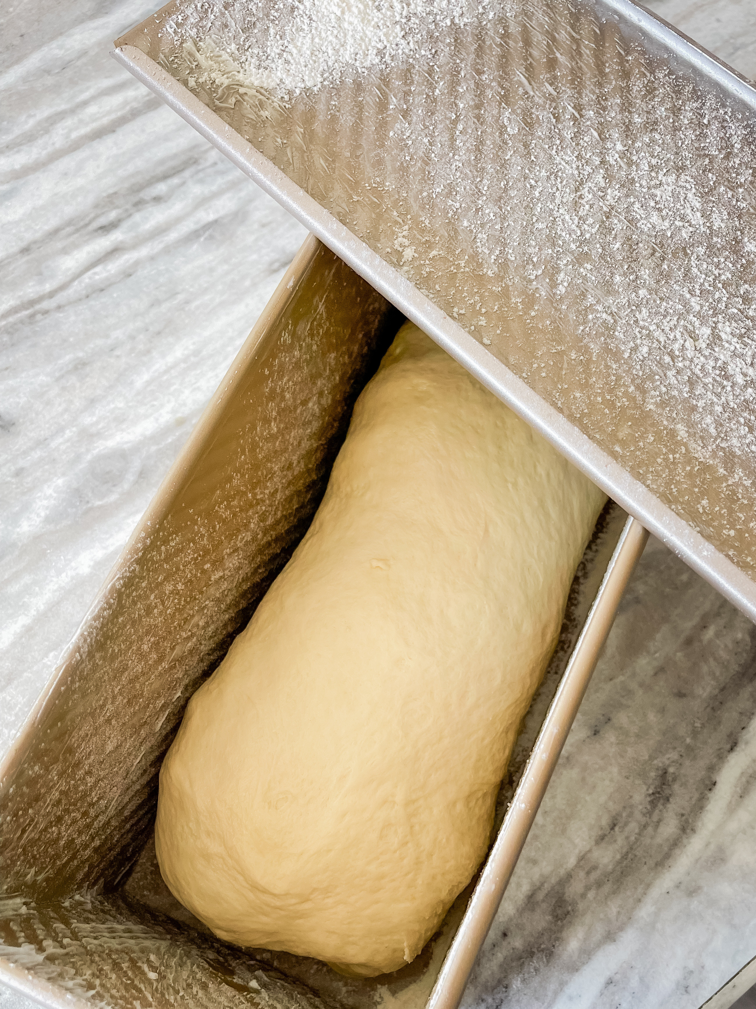 Amazing Pullman pan for sourdough bread 🍞 

** make sure to click FOLLOW ⬆️⬆️⬆️ so you never miss a post ❤️❤️

📱➡️ simplylauradee.com

kitchen finds | kitchen gadgets | kitchen must haves | organization | kitchen organization | kitchen essentials | kitchen aid | ninja | ninja foodi | sourdough | crockpot | bento box | Bentgo box | family dinner 

#LTKHome #LTKFamily #LTKKids