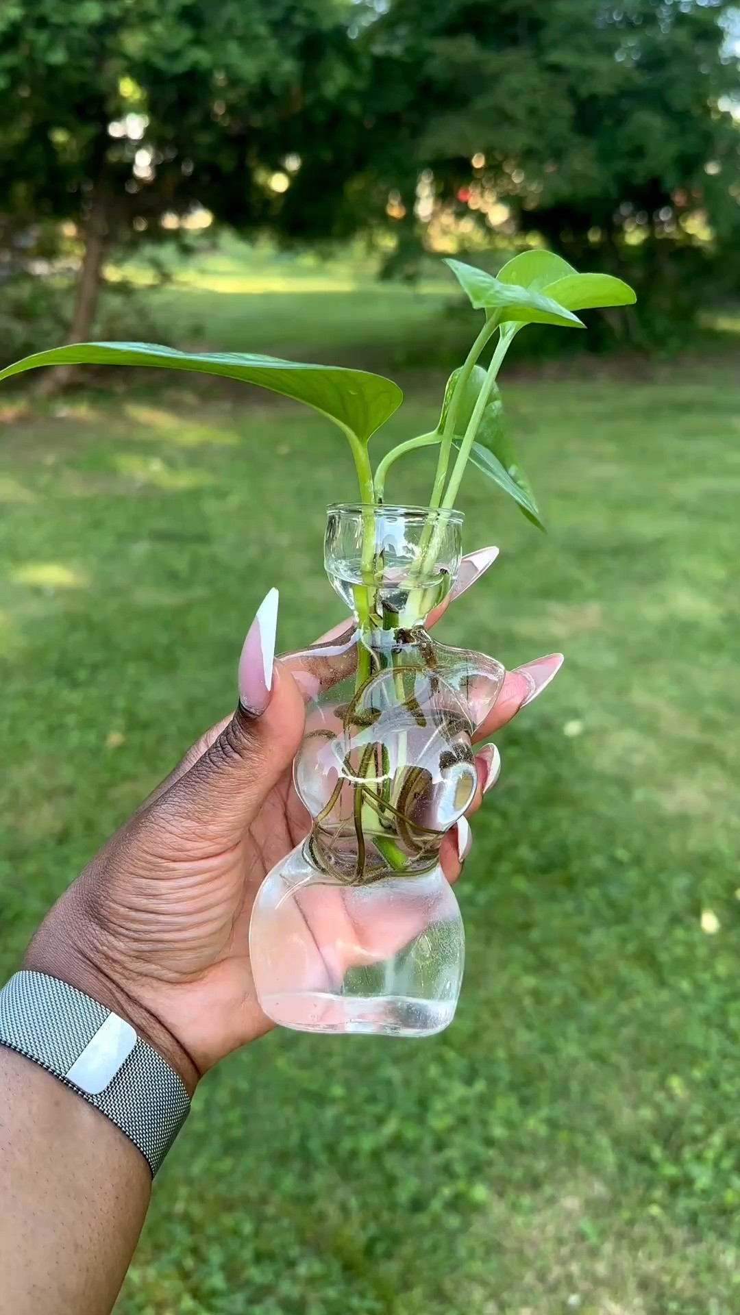 A cute way to propagate your plant babies 💚

#LTKdayinmylife #LTKHome #LTKSeasonal
