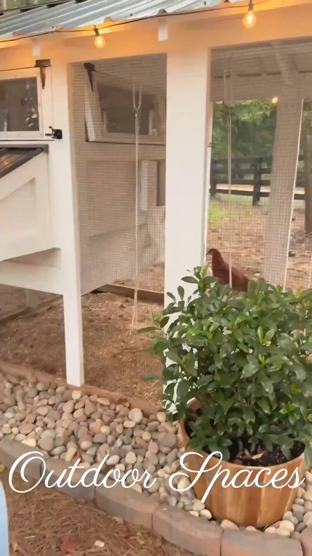 🥚 A coop that’s not just beautiful, but functional. With easy-access doors and nesting boxes, this design makes raising chickens practical and stylish.

Do you want to bring our dreamy Modern Classic style interior design into your own home? 🏡 You’re in luck! Reserve our Online Interior Design packages today -> https://porcheandco.com/edesign ✨ We can’t wait to work with you & design your home with #porcheandco

#porcheandco #modernclassicstyle #functionaldesign #farmhousestyle #backyardliving #outdoorhomedesign #timelessinteriors #outdoordecor #modernclassicinteriors #farmchic



#LTKHome #LTKvlog