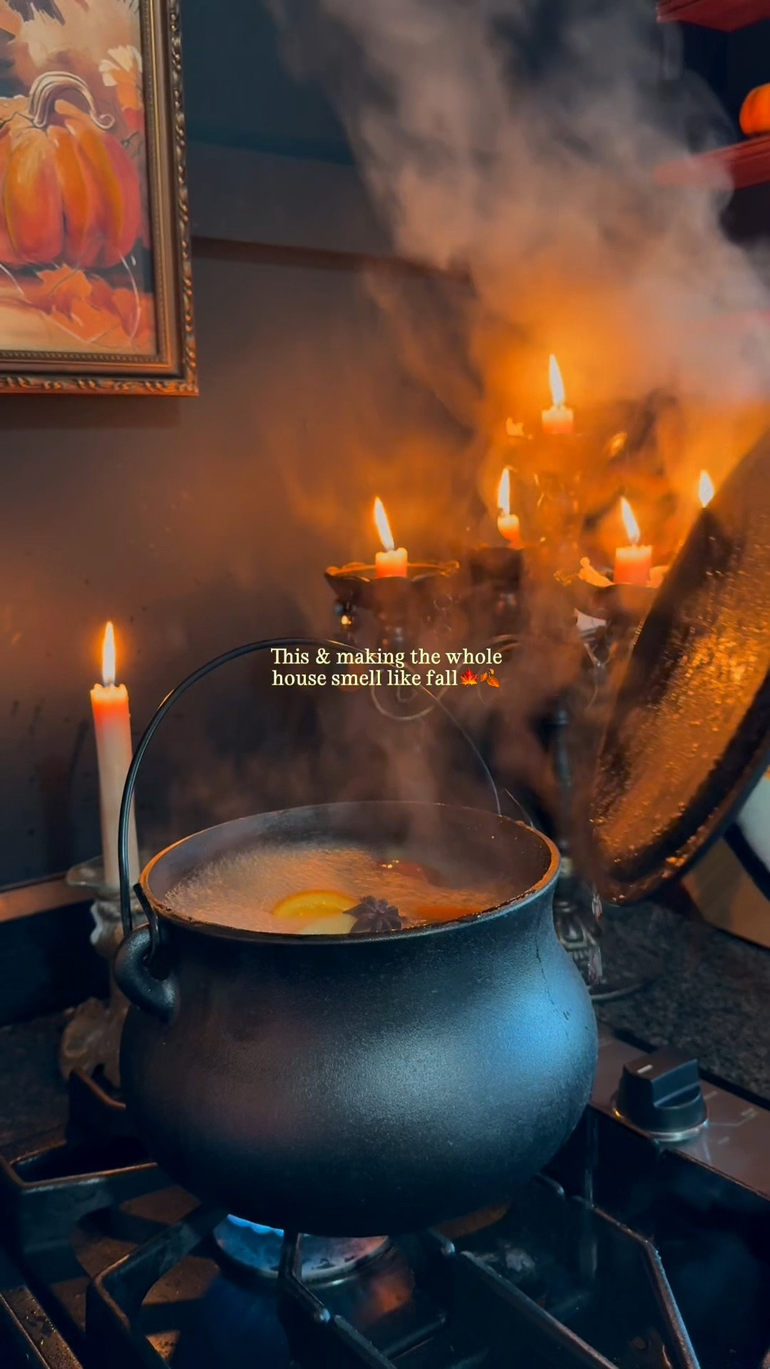 Fall simmer pot // fall decor // Halloween witchy vibes // practical magic

#LTKdayinmylife #LTKSeasonal #LTKHome