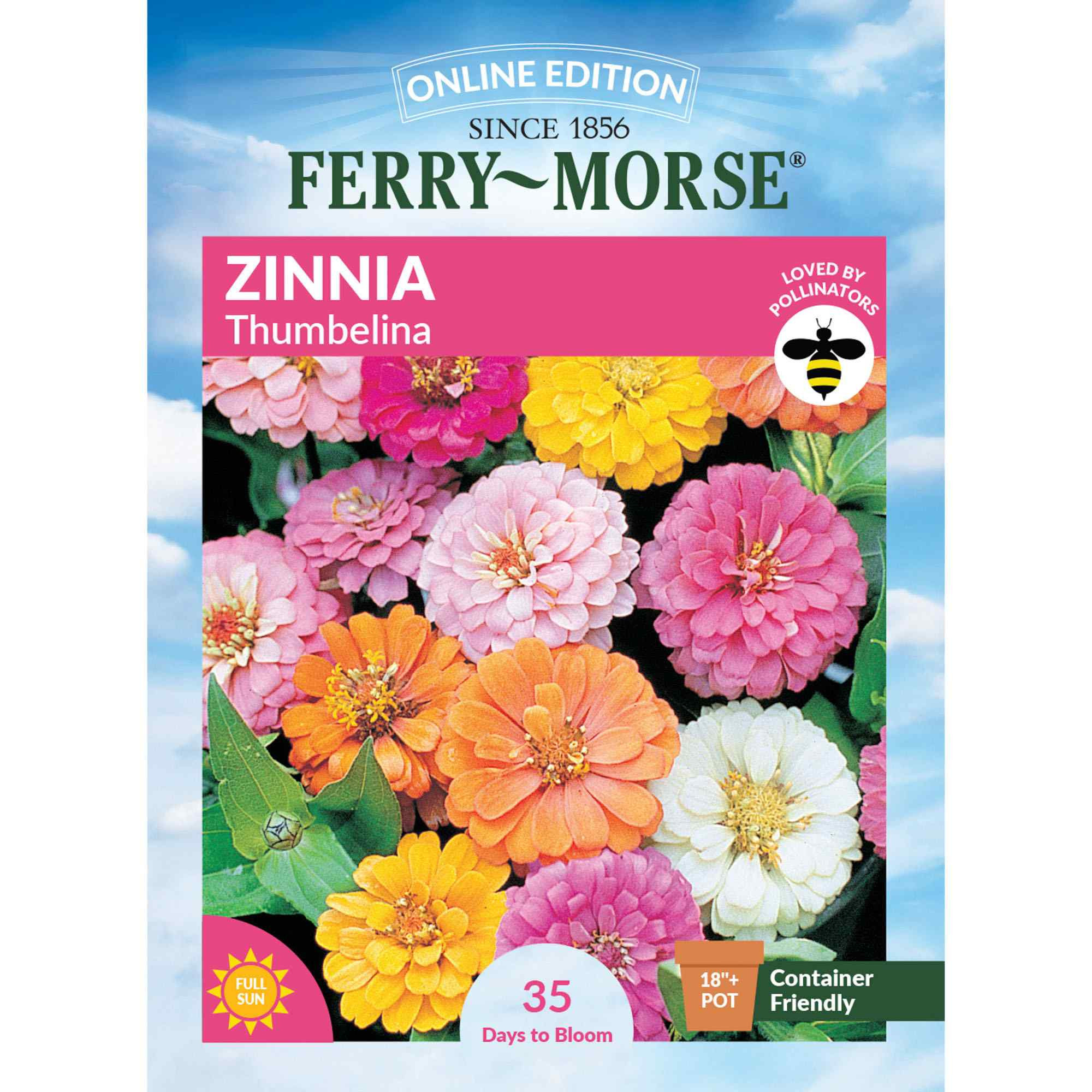 Ferry-Morse Zinnia Seeds 800 Milligram(s) | LC25.0051 | Lowe's