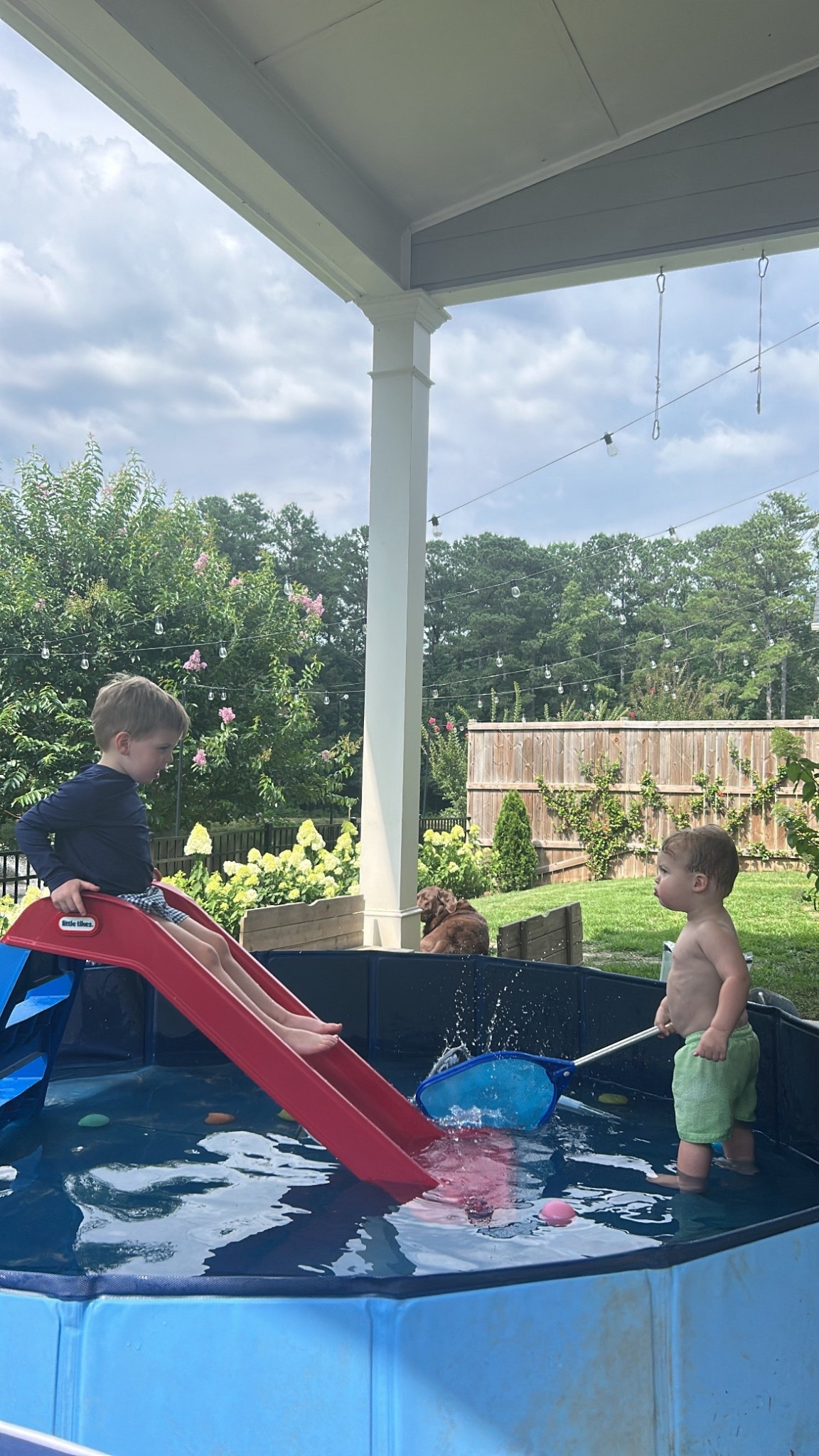 We have loved this pop-up pool for our backyard! The best part? The dogs can’t pop it🙌🏼

#LTKKids #LTKFindsUnder100 #LTKSwim