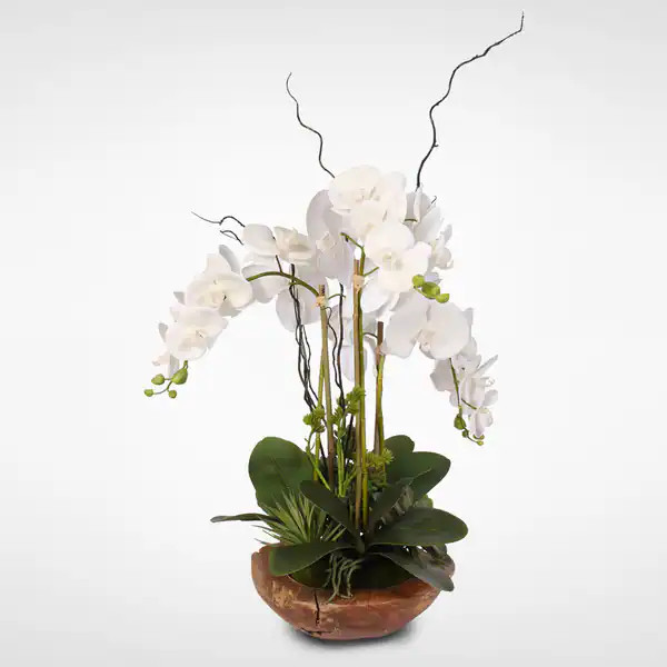 Real Touch Phalaenopsis Silk Orchid with Curly Willow in Natural Teak Wood Bowl - White | Bed Bath & Beyond