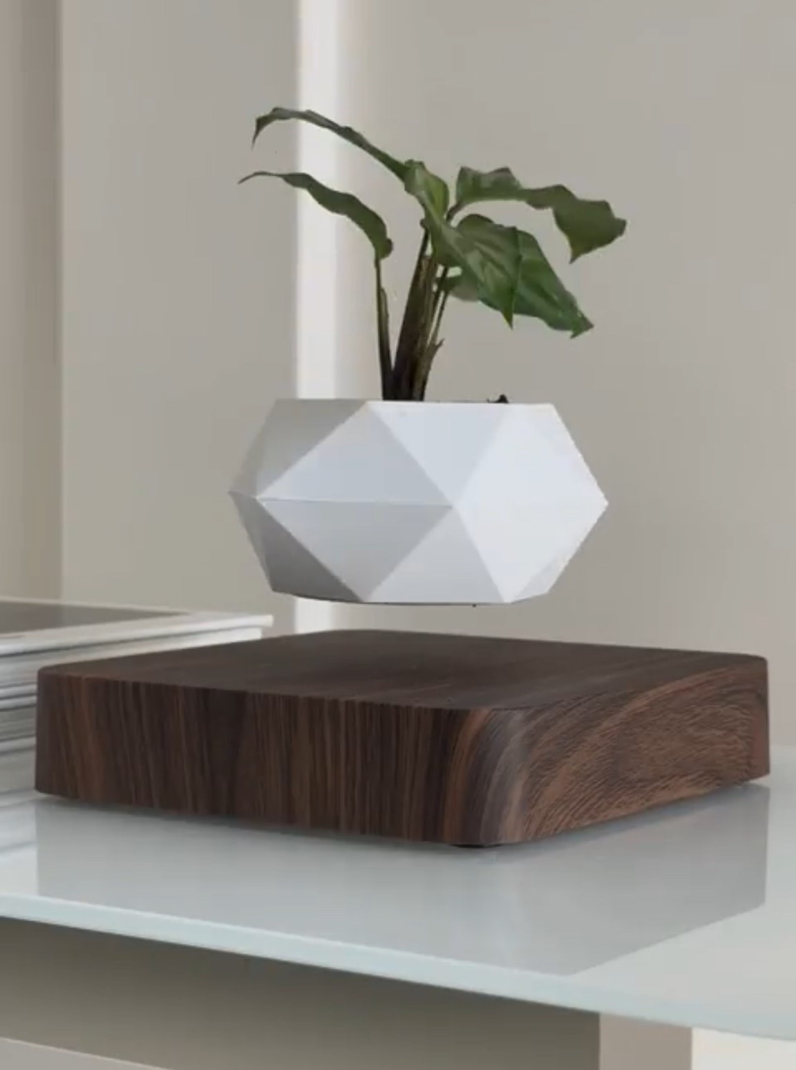 Scroll to shop!! Follow for more!! Xo! ✨

#LTKdayinmylife #LTKHome #LTKmomlife