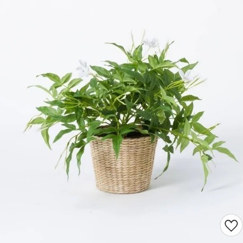 Jasmine in Basket - Threshold designed with Studio McGee | eBay US