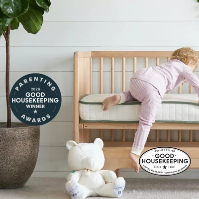 Organic Crib Mattress | Avocado Mattress