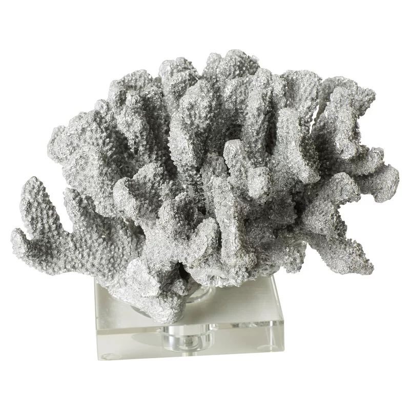 Annapolis Coral On Acrylic Base Sculpture | Wayfair North America