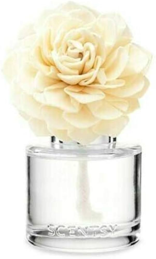 SCENTSY - Amazon Rain - Fragrance Flower | Amazon (US)